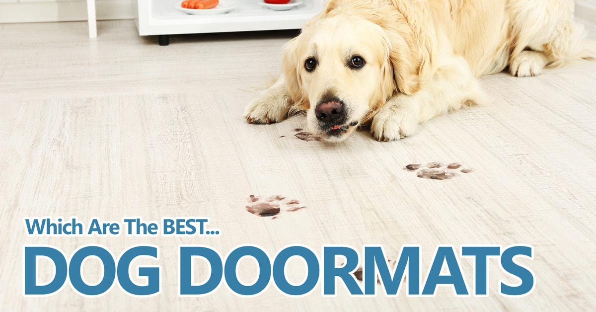 dog paw cleaning rug