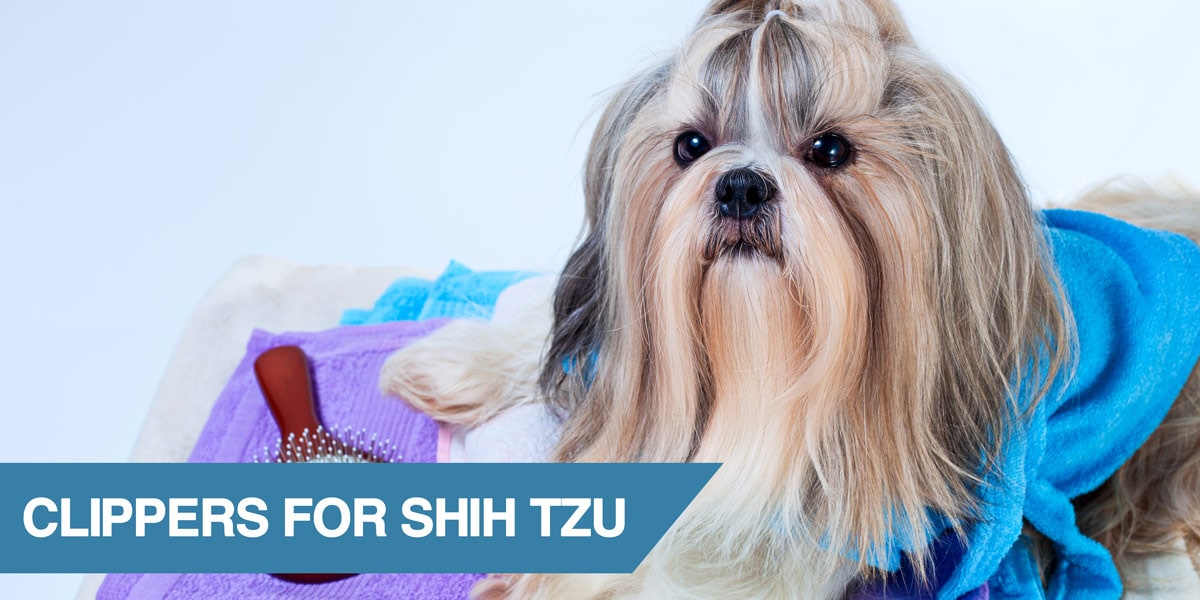 Best Grooming Clippers for Shih Tzu [2021] - Reviews & Top Pick