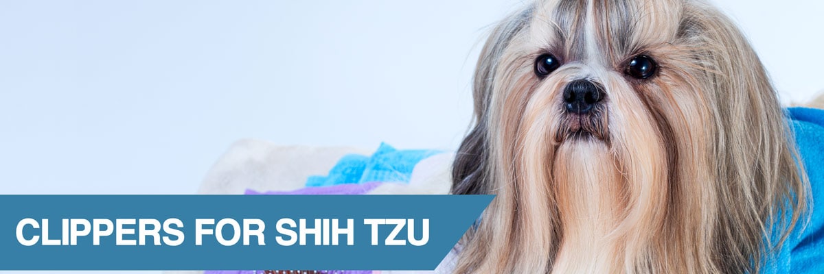 best dog clippers for shih tzu uk