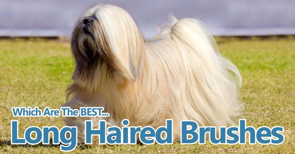 slicker brush for long haired dogs