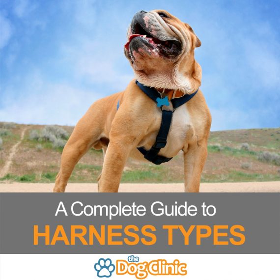 Types Of Dog Harnesses Chart