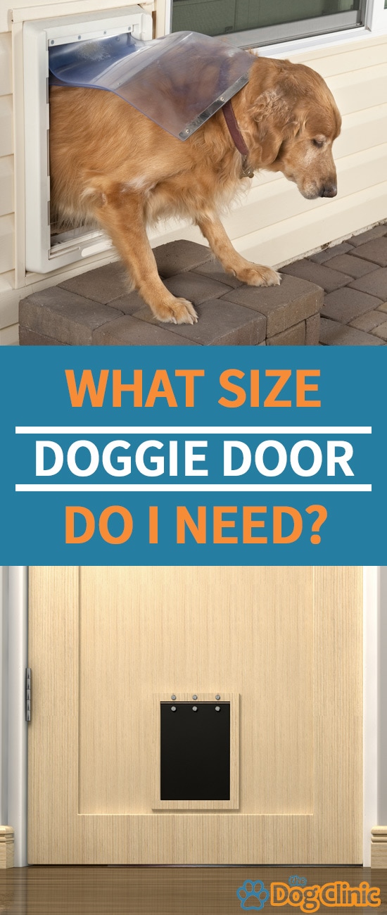 What Size Dog Door Do I Need? (Including Sizing Chart)