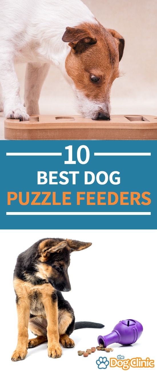 best dog puzzle feeder