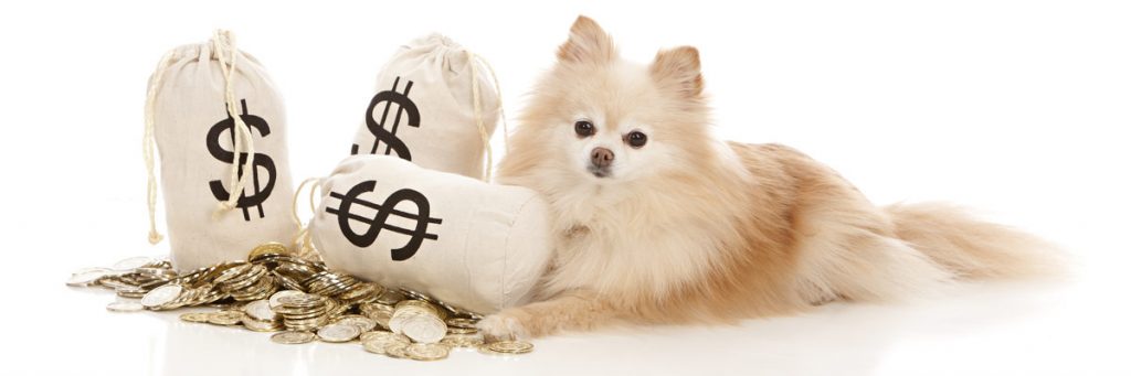 monthly cost of owning a dog