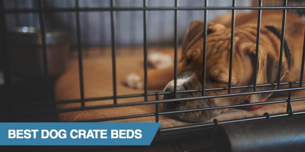 waterproof dog crate bed