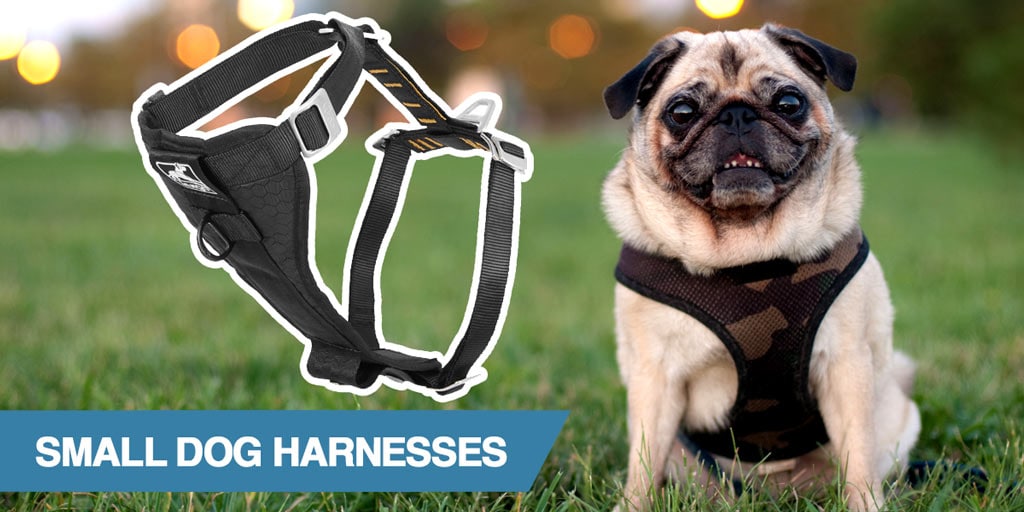 cheap puppy harness